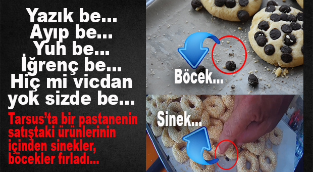 MİDE KALDIRAN HABER: TARSUS’TA ÜRÜNLERİ BÖCEK-SİNEK DOLU PASTANEYE İNCELEME BAŞLATILDI!