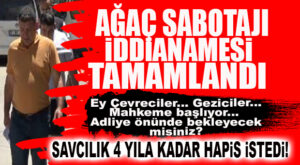 AĞAÇ SABOTAJI İDDİANAMESİ TAMAMLANDI: 1 YILDAN 4 YILA KADAR HAPİS İSTENDİ!