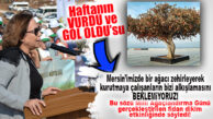 HAFTANIN “VURDU VE GOL OLDU”SU: AK PARTİLİ YILMAZ’DAN CHP’Lİ BÜYÜKŞEHİR’E “AĞAÇ KATLİAMI” GÖNDERMESİ!
