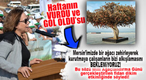 HAFTANIN “VURDU VE GOL OLDU”SU: AK PARTİLİ YILMAZ’DAN CHP’Lİ BÜYÜKŞEHİR’E “AĞAÇ KATLİAMI” GÖNDERMESİ!