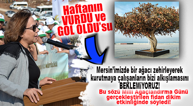 HAFTANIN “VURDU VE GOL OLDU”SU: AK PARTİLİ YILMAZ’DAN CHP’Lİ BÜYÜKŞEHİR’E “AĞAÇ KATLİAMI” GÖNDERMESİ!