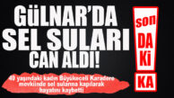 SON DAKİKA… GÜLNAR’DA SEL CAN ALDI: 1 KİŞİ ÖLDÜ