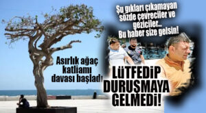 CHP’Lİ BÜYÜKŞEHİR’İN ASIRLIK AĞACA SUİKAST DAVASI GÖRÜLDÜ: AZMETTİRİCİ OLDUĞU İDDİA EDİLEN DAİRE BAŞKANI LÜTFEDİP GELMEDİ!