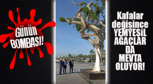 KOCAMAZ’DAN GÜNÜN BOMBASI: “KAFALAR DEĞİŞİNCE YEMYEŞİL AĞAÇLAR DA MEVTA OLUYOR!”