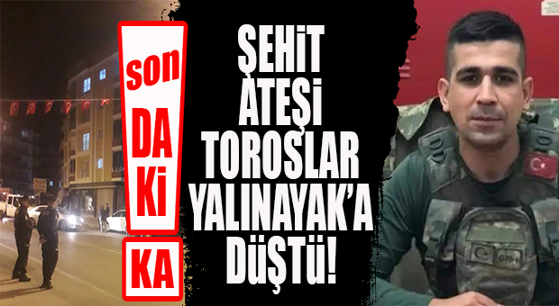 SON DAKİKA… MERSİN’E ŞEHİT ATEŞİ DÜŞTÜ! ACI HABER TOROSLAR’DAKİ AİLEYE ULAŞTI