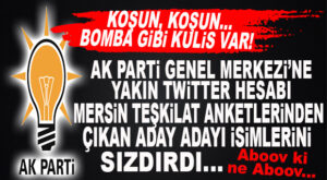 AK PARTİ MERSİN ADAY ANKETLERİ TWİTTER’DA SIZDIRILDI… HEM DE GENEL MERKEZE YAKIN HESAPLARDAN!