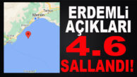 SON DAKİKA! ERDEMLİ AÇIKLARINDA PEŞPEŞE 2 DEPREM: 4.6-2.1