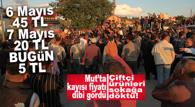 MUT’TA KAYISI FİYATI DÜŞTÜ, ÇİFTÇİ KAYISIYI YOLA DÖKTÜ!