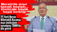 İYİ PARTİLİ KOCAMAZ, MISIR ÜRETİCİSİNİN SORUNLARINI TBMM’DE DİLE GETİRDİ