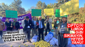 MERSİNLİ LİMON ÜRETİCİLERİ MECLİS PARKINDA EYLEM YAPTI!