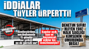 BOMBA İDDİA TÜYLER ÜRPERTTİ: ÖZELLEŞTİRİLEN MEZABAHANEDE 15 GÜNDÜR YETKİLİ YOK, KAPILAR AÇIK, İÇERİSİ KAN REVAN İÇİNDE…