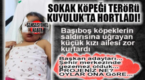 AMELİYATIN ARDINDAN ÇOK ŞÜKÜR DURUMU İYİ: SOKAK KÖPEĞİ TERÖRÜ MEZİTLİ KUYULUK’TA 5 YAŞINDAKİ KIZI HASTANELİK ETTİ!