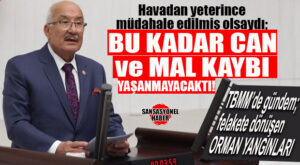 İYİ PARTİLİ KOCAMAZ: “HÜKÜMET ORMAN YANGINLARI KONUSUNDA HER YIL YENİ BİR BECERİKSİZLİK SERGİLEMEYE DEVAM EDİYOR”