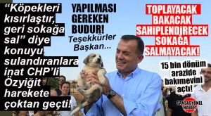 CHP’Lİ ÖZYİĞİT ANLADI, DARISI DİĞERLERİNE: KISIRLAŞTIRACAK, SAHİPLENDİRECEK, BAKACAK AMA KESİNLİKLE SALMAYACAK!