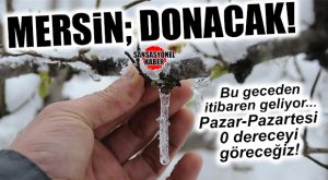 MERSİN VALİLİĞİ UYARDI: ZİRAİ DONA DİKKAT!