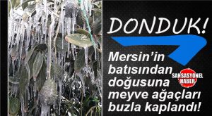 SON 25 YILIN EN SOĞUK HAVASI: MERSİN ÇİFTÇİSİNİ ZİRAİ DON VURDU… ZARAR BÜYÜK…