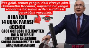 İYİ PARTİLİ KOCAMAZ’DAN, TBMM’DE ORMAN YANGINLARI UYARISI: “GELECEKTE GÖLGESİNDE SOLUKLANACAK TEK AĞAÇ KALMAYABİLİR”