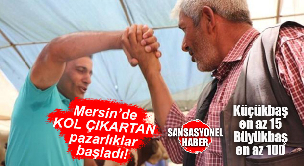 KURBAN PAZARLARI KURULDU… PAZARLIKLAR BAŞLADI!