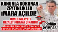 MEZİTLİ’DE BOMBA… KANUNLARLA KORUNAN ZEYTİNLİKLER İMARA AÇILDI; BAKANLIK MÜDAHALESİYLE MEZİTLİ’DEKİ İMAR ÖNCE İPTAL EDİLDİ ARDINDAN OLAY SAVCILIĞA TAŞINDI!