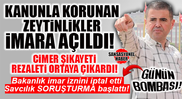MEZİTLİ’DE BOMBA… KANUNLARLA KORUNAN ZEYTİNLİKLER İMARA AÇILDI; BAKANLIK MÜDAHALESİYLE MEZİTLİ’DEKİ İMAR ÖNCE İPTAL EDİLDİ ARDINDAN OLAY SAVCILIĞA TAŞINDI!