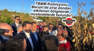 TBMM ZİRAİ DON OLAYINI ARAŞTIRMA KOMİSYONU ÜYELERİ MERSİN’DE İNCELEMELERDE BULUNDU