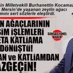 İYİ PARTİLİ KOCAMAZ “ZEYTİN KATLİAMLARINI” MECLİS GÜNDEMİNE TAŞIDI: “ASIRLIK AĞAÇLAR RANTA KURBAN EDİLİYOR!”