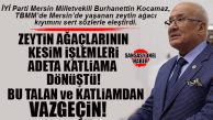 İYİ PARTİLİ KOCAMAZ “ZEYTİN KATLİAMLARINI” MECLİS GÜNDEMİNE TAŞIDI: “ASIRLIK AĞAÇLAR RANTA KURBAN EDİLİYOR!”