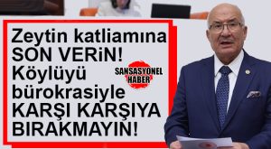 BURHANETTİN KOCAMAZ’DAN MECLİS’TE ZEYTİN FERYADI: “60-70 YILLIK AĞAÇLAR KATLEDİLİYOR,BU KATLİAMA SON VERİN!”