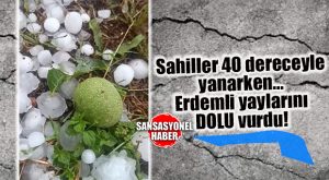 ERDEMLİ YAYLALARINI DOLU VURDU… TARIM ALANLARINDA ZARAR!