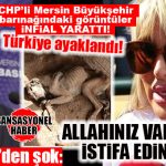 BÜYÜKŞEHİR’İN BARINAĞINDA ŞOK GÖRÜNTÜLER… SOKAK HAYVANLARINA EZİYETE SEREN SERENGİL’DEN BOMBA TEPKİ: “ALLAHINIZ VARSA İSTİFA EDİN!”