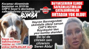 SEÇER DEĞİL SEREN YAPAR! HEY KOCA BÜYÜKŞEHİR HEY… MERSİN’DE ÇATALBURUN SKANDALI: SAFKAN IRK KAYIP MI, SATILDI MI?