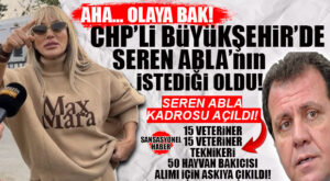 MERSİN’DE BARINAK SKANDALINDA ŞOK GELİŞME: 15 VETERİNER, 15 VETERİNER TEKNİKER VE 50 HAYVAN BAKICISI ALINIYOR… SORU BASİT: TEPKİLER OLMASA YILLARCA ÜSTÜ KAPATILACAK MIYDI?