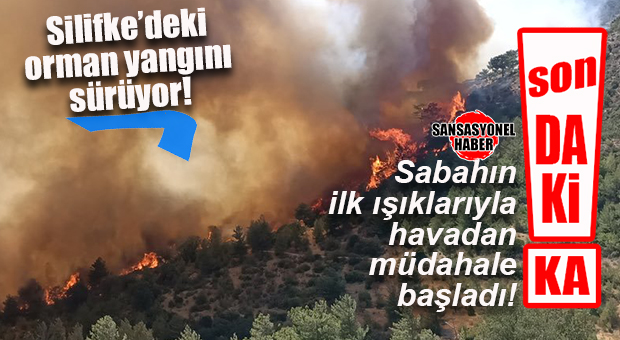 SON DURUM: SİLİFKE’DE YANGINLA MÜCADELE SÜRÜYOR… SABAHIN İLK IŞIKLARIYLA HAVADAN MÜDAHALE BAŞLADI!
