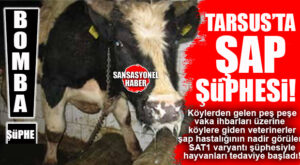 TARSUS’TA 50 KÖYDE ŞAP HASTALIĞI ŞÜPHESİ: NADİR VARYANT GÜNDEMDE!