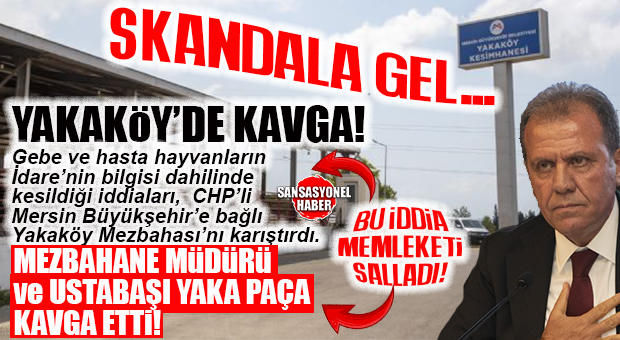 YENİ SKANDAL YAKAKÖY MEZBAHANE’DEN GELDİ: GEBE VE DİŞİ HAYVAN KESİMİ YAPILDI, USTABAŞI; MEZBAHA ŞUBE MÜDÜRÜ’YLE KAPIŞTI! BOMBA İDDİA…