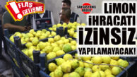 FLAŞ GELİŞME… LİMON İHRACATI İZİNSİZ YAPILAMAYACAK!