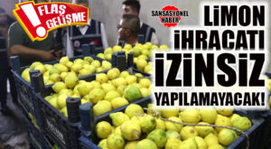 FLAŞ GELİŞME… LİMON İHRACATI İZİNSİZ YAPILAMAYACAK!