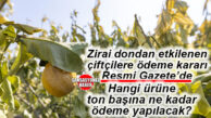 ZİRAİ DONDAN ETKİLENEN ÇİFTÇİLERE DESTEK ÖDEMELERİ İÇİN KARAR RESMİ GAZETE’DE YAYINLANDI!