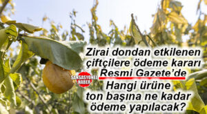 ZİRAİ DONDAN ETKİLENEN ÇİFTÇİLERE DESTEK ÖDEMELERİ İÇİN KARAR RESMİ GAZETE’DE YAYINLANDI!
