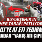BÜYÜKŞEHİR’İN HER TARAFI PATLIYOR: MERSİN BÜYÜKŞEHİR AŞEVİNDE “AT ETİ” SKANDALI! MERSİNLİ’YE BELEDİYE AT ETİ YEDİRMİŞ!