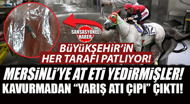 BÜYÜKŞEHİR’İN HER TARAFI PATLIYOR: MERSİN BÜYÜKŞEHİR AŞEVİNDE “AT ETİ” SKANDALI! MERSİNLİ’YE BELEDİYE AT ETİ YEDİRMİŞ!