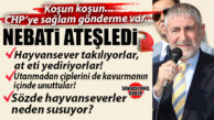 GÜNÜN SALVOSU… AK PARTİLİ NEBATİ’DEN CHP’YE “AT ETİ” GÖNDERMESİ: “UTANMADAN ÇİPLERİNİ DE İÇİNDE UNUTTULAR!” NEBATİ HAYVANSEVER GEÇİNENLERİ DE UNUTMADI: “NEDEN SESSİZSİNİZ!”