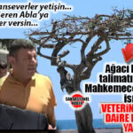 BOMBAYA GEL… CHP’Lİ VAHAP SEÇER’DEN TARTIŞMA YARATAN KARAR: ÖZGECAN MEYDANI’NDAKİ YARIM ASIRLIK KAUÇUK AĞACINI ASİTLE KURUTMA TALİMATINI VEREN İSİM, ŞİMDİ DE VETERİNERLİK DAİRE BAŞKANLIĞINA ATANDI!