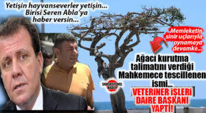 BOMBAYA GEL… CHP’Lİ VAHAP SEÇER’DEN TARTIŞMA YARATAN KARAR: ÖZGECAN MEYDANI’NDAKİ YARIM ASIRLIK KAUÇUK AĞACINI ASİTLE KURUTMA TALİMATINI VEREN İSİM, ŞİMDİ DE VETERİNERLİK DAİRE BAŞKANLIĞINA ATANDI!