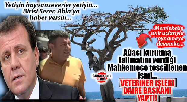 BOMBAYA GEL… CHP’Lİ VAHAP SEÇER’DEN TARTIŞMA YARATAN KARAR: ÖZGECAN MEYDANI’NDAKİ YARIM ASIRLIK KAUÇUK AĞACINI ASİTLE KURUTMA TALİMATINI VEREN İSİM, ŞİMDİ DE VETERİNERLİK DAİRE BAŞKANLIĞINA ATANDI!