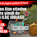 MERSİN BÜYÜŞEHİR BELEDİYESİNDE SKANDAL ÜSTÜNE SKANDAL! AT ETİ FACİASINDAN SONRA ŞİMDİ DE SİNEK İLACI PATLADI: KANSERE YOL AÇMA ŞÜPHESİ OLAN İLAÇ MI SIKILIYOR?