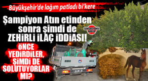 MERSİN BÜYÜŞEHİR BELEDİYESİNDE SKANDAL ÜSTÜNE SKANDAL! AT ETİ FACİASINDAN SONRA ŞİMDİ DE SİNEK İLACI PATLADI: KANSERE YOL AÇMA ŞÜPHESİ OLAN İLAÇ MI SIKILIYOR?