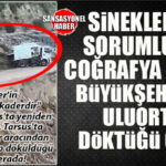 TARSUS’TAN BOMBA… SİVRİSİNEĞİN SEBEBİ COĞRAFYA MI, YOKSA BÜYÜKŞEHİR’İN ÇÖPÜ MÜ? TARSUS’TA BÜYÜKŞEHİR SKANDALI! KENDİ ELİYLE ÇÖPLÜK YAPTI!