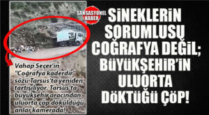 TARSUS’TAN BOMBA… SİVRİSİNEĞİN SEBEBİ COĞRAFYA MI, YOKSA BÜYÜKŞEHİR’İN ÇÖPÜ MÜ? TARSUS’TA BÜYÜKŞEHİR SKANDALI! KENDİ ELİYLE ÇÖPLÜK YAPTI!