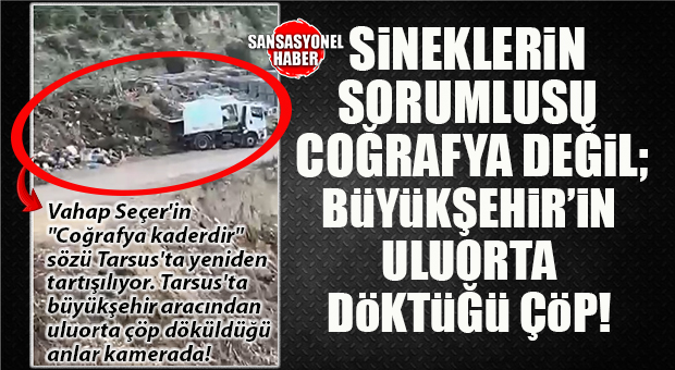 TARSUS’TAN BOMBA… SİVRİSİNEĞİN SEBEBİ COĞRAFYA MI, YOKSA BÜYÜKŞEHİR’İN ÇÖPÜ MÜ? TARSUS’TA BÜYÜKŞEHİR SKANDALI! KENDİ ELİYLE ÇÖPLÜK YAPTI!
